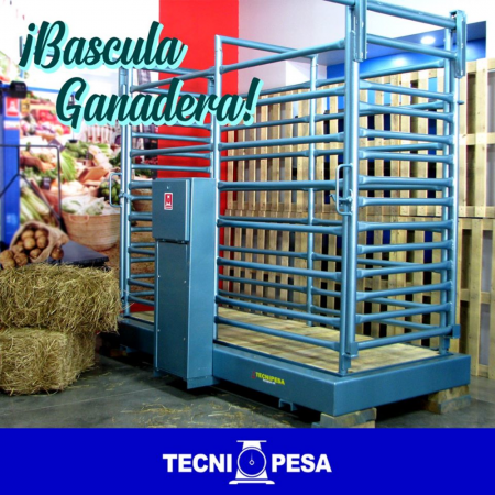 Bascula Industrial TN 1200 lbs. Plataforma Grande – Tecnipesa